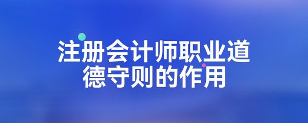 注冊會計師職業道德守則的作用