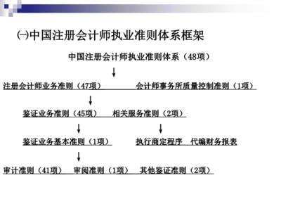 審計準則與審計依據