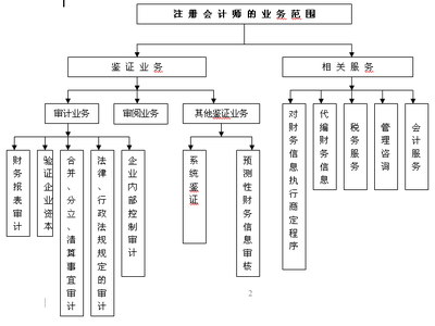 2011注冊會計師考試審計第二章第二節(jié)-注冊會計師-學易網(wǎng)校