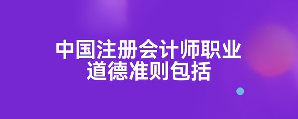 中國注冊會計師職業道德準則包括